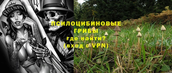 прущая мука Богданович