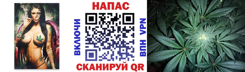 как найти закладки  Заволжск  блэк спрут зеркало  Марихуана сатива 